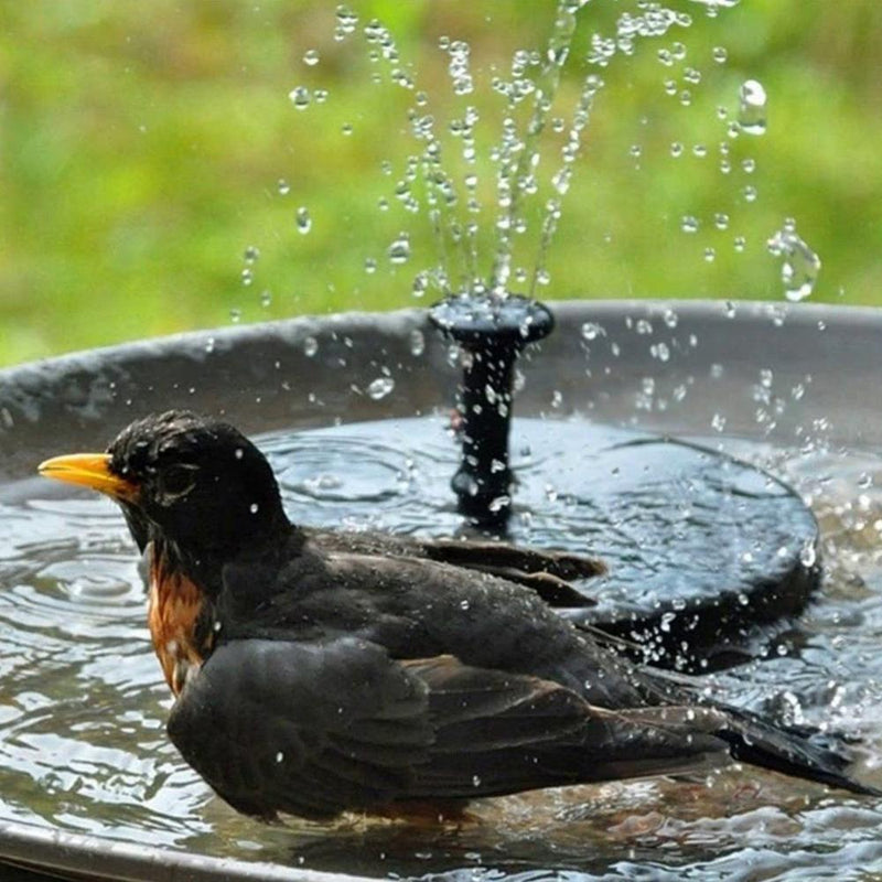 Bomba Solar para Fuente – Para Estanque, Baño para Pájaros o Decoración de Jardín