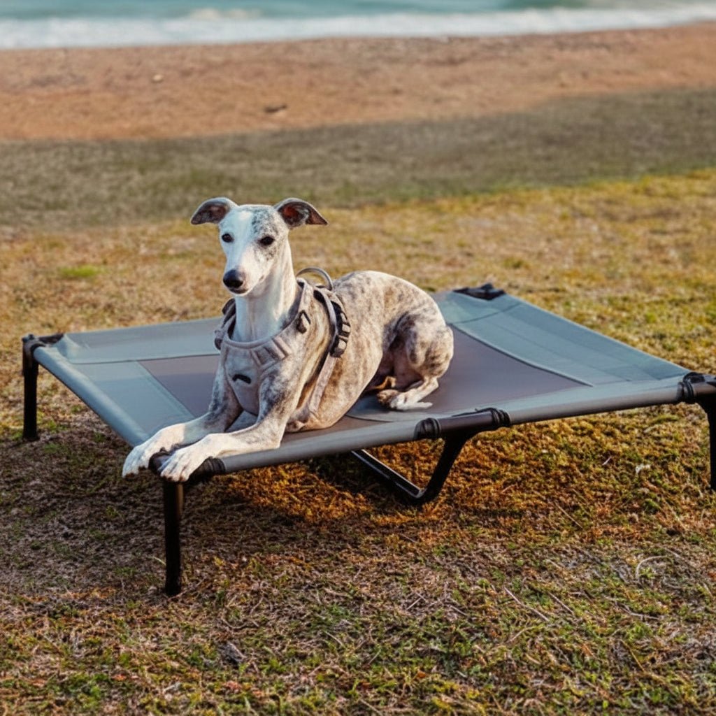Cama elevada para perros con alfombrilla refrescante y protección UV para uso en exteriores