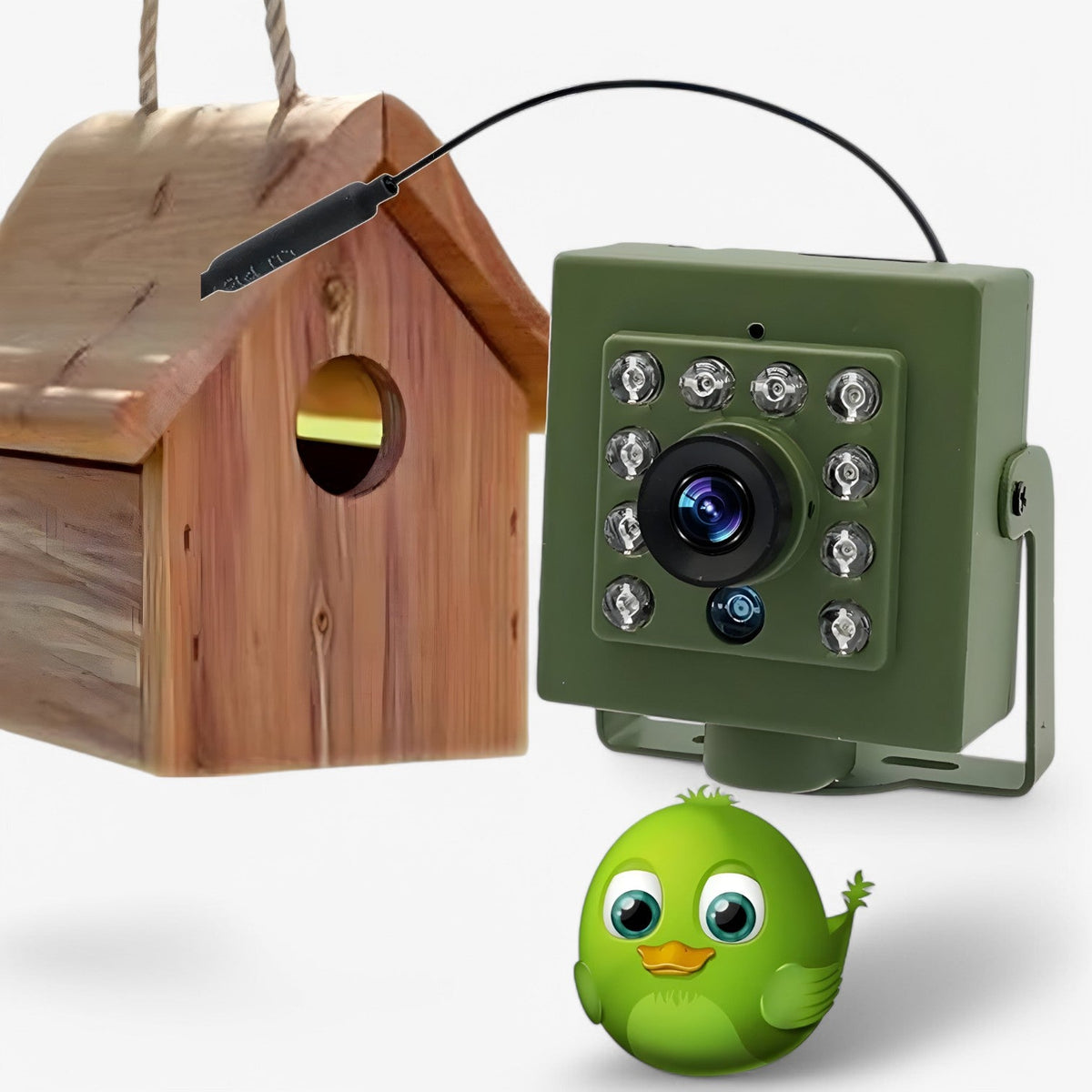 Cámara WiFi HD para nido de pájaros: cámara impermeable 1080p para exteriores y vida silvestre con visión nocturna