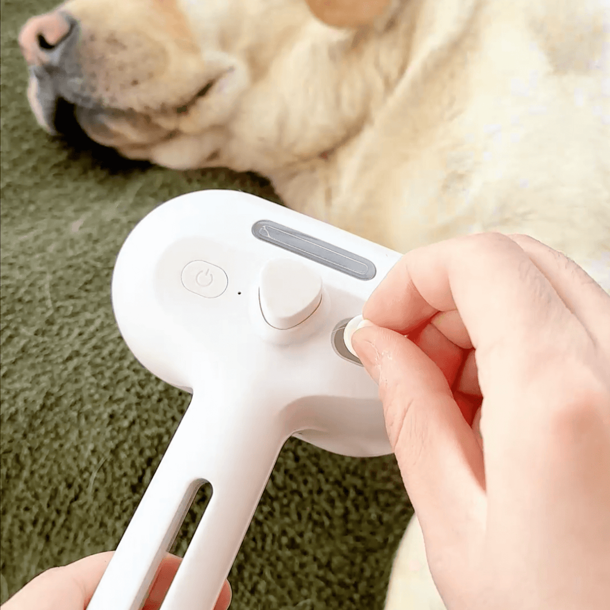 Cepillo de Vapor para Perros