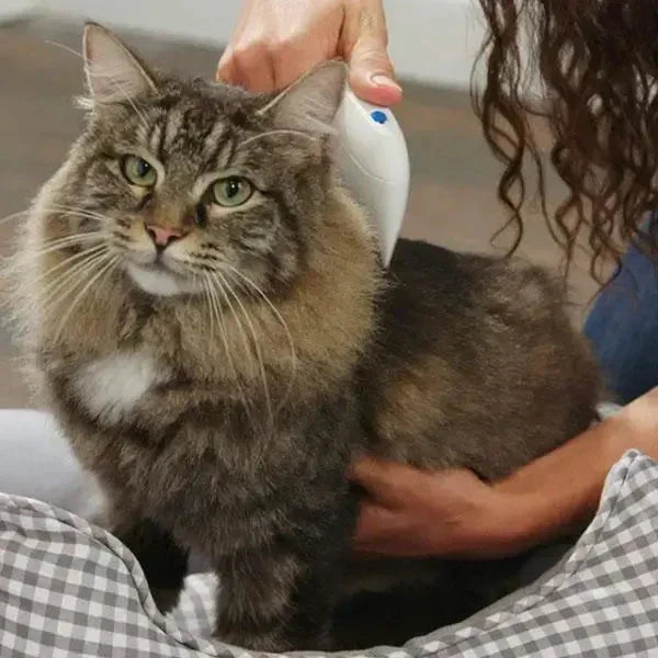 Eliminador eléctrico de pulgas y garrapatas: suave y sin productos químicos