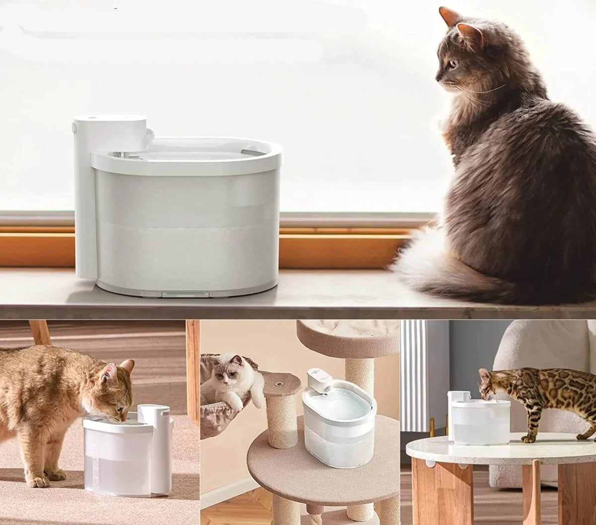 Fuente de agua inteligente para gatos con sensor
