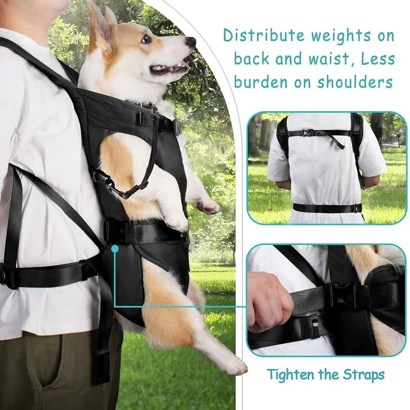 Mochila de transporte frontal para perros para aventuras al aire libre