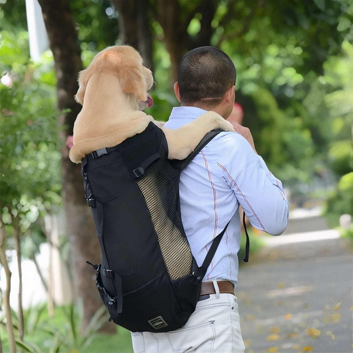Mochila de transporte para perros para senderismo